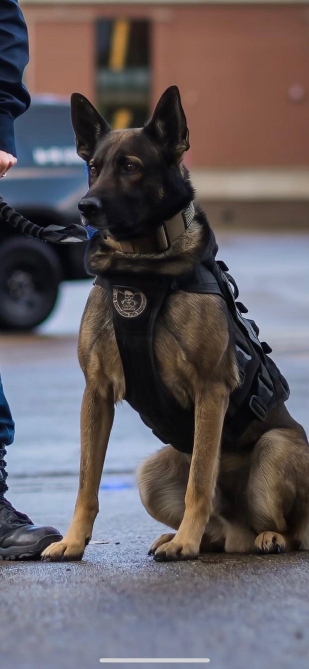 portage-k9-officer-lex.jpg 