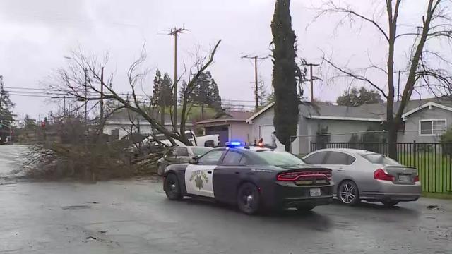 Trees are toppling over in Sacramento due to strong winds 