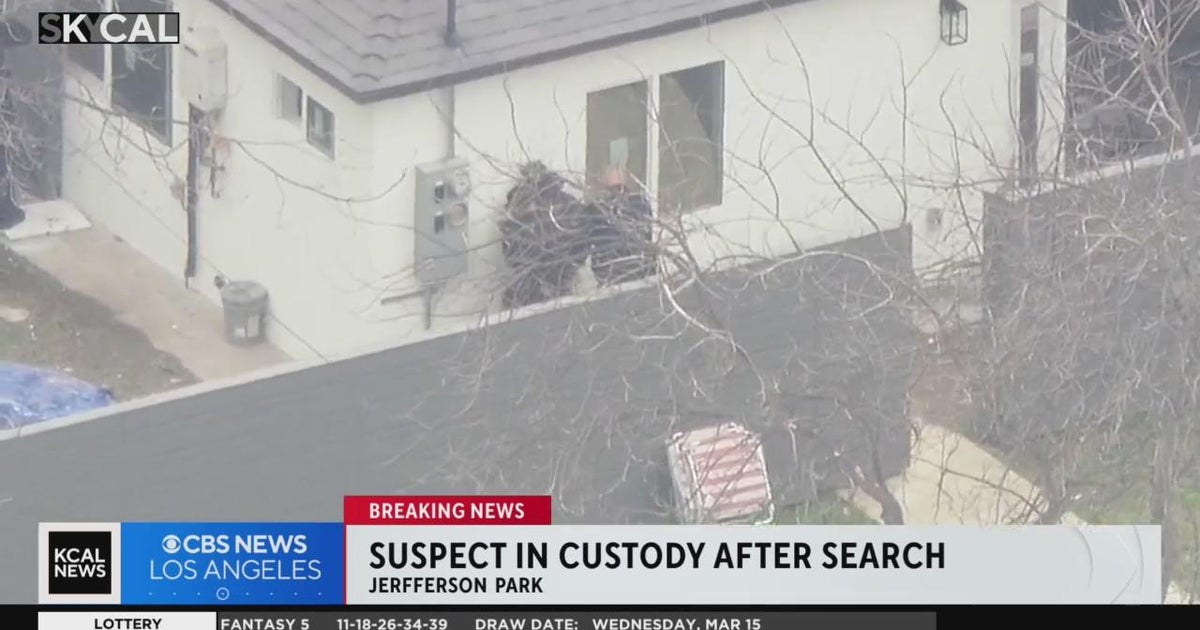 Stolen vehicle suspect arrested after pursuit ends in crash in ...