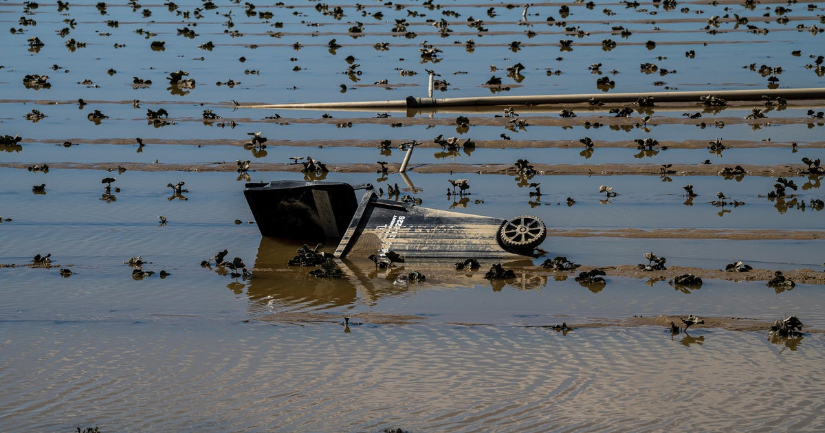 Northern California storms flood hundreds of acres of strawberries