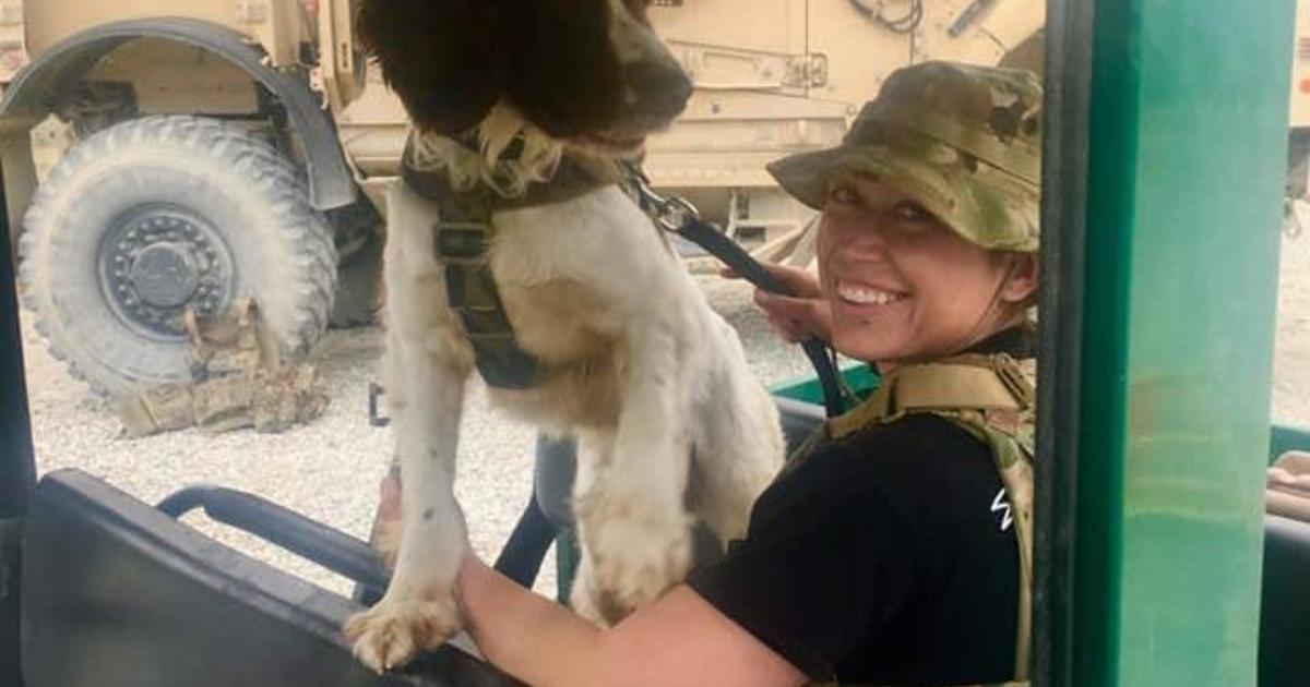 In a twist of fate, Afghanistan military dog set to reunite with its owner in the U.S.