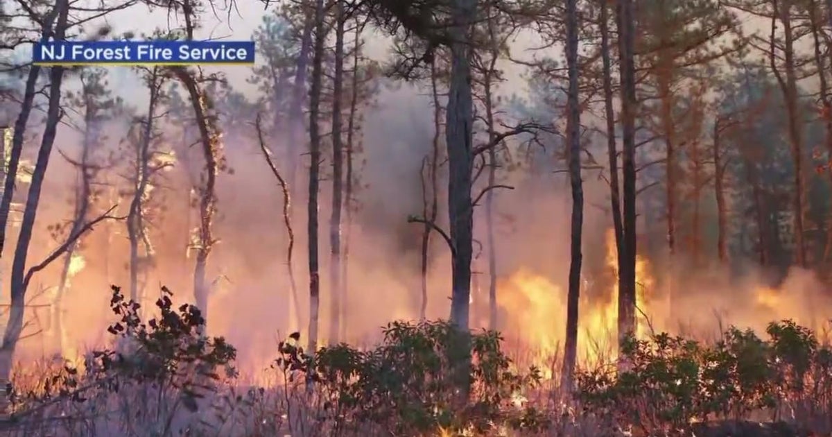 Red Flag Warning: Dry air, gusty winds driving up risk of wildfires in ...