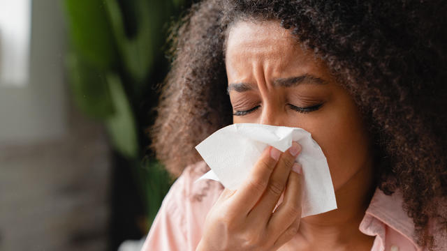 Sneezing coughing ill young using paper napkin, having runny nose, blowing her nose. Coronavirus, infectious disease, flu, cold. 