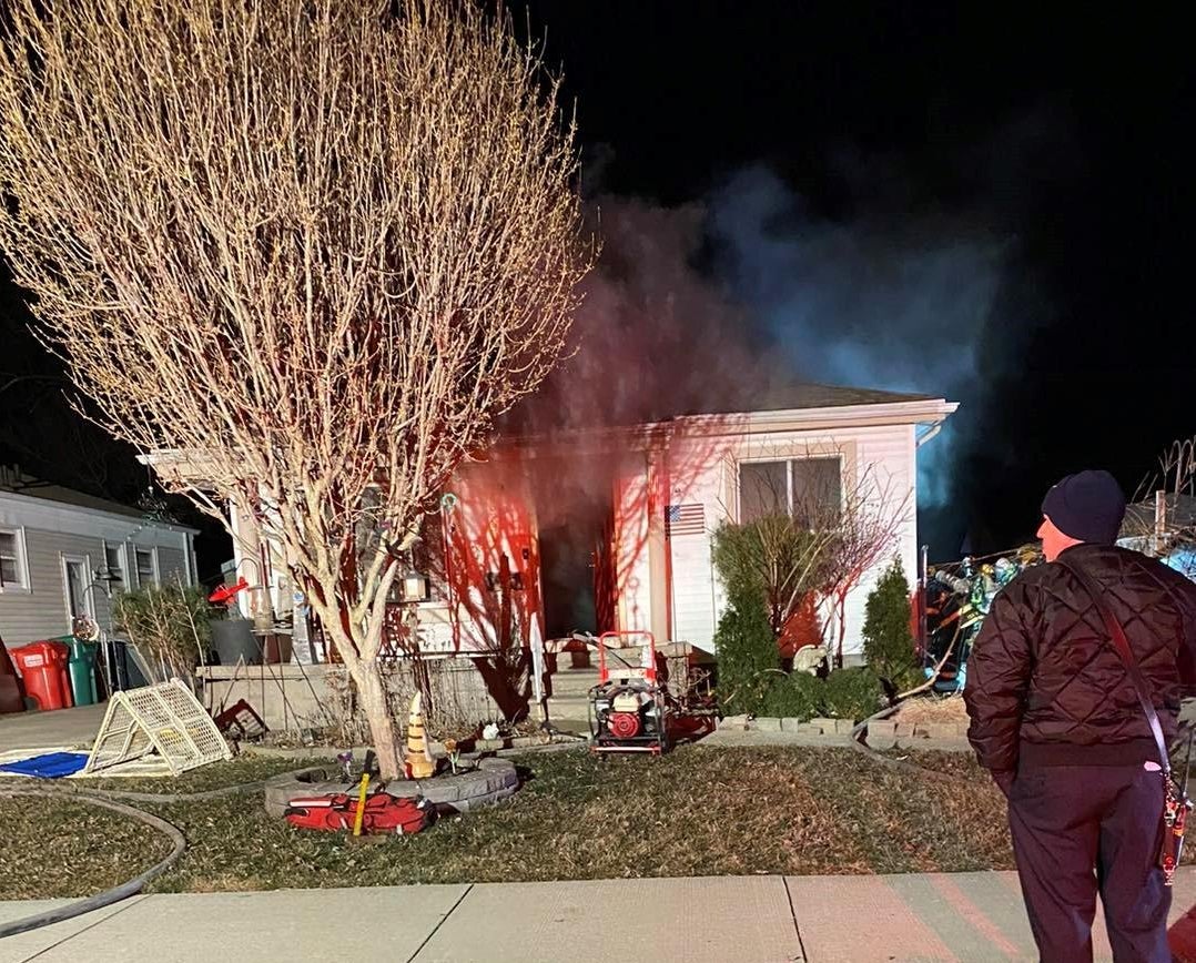 14 puppies, 1 adult dog rescued from house fire in Eastpointe - CBS Detroit