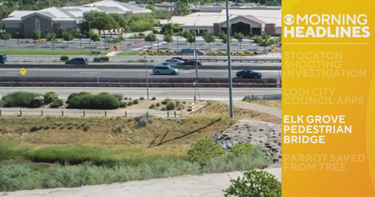 Morning headlines - 03/20/2023