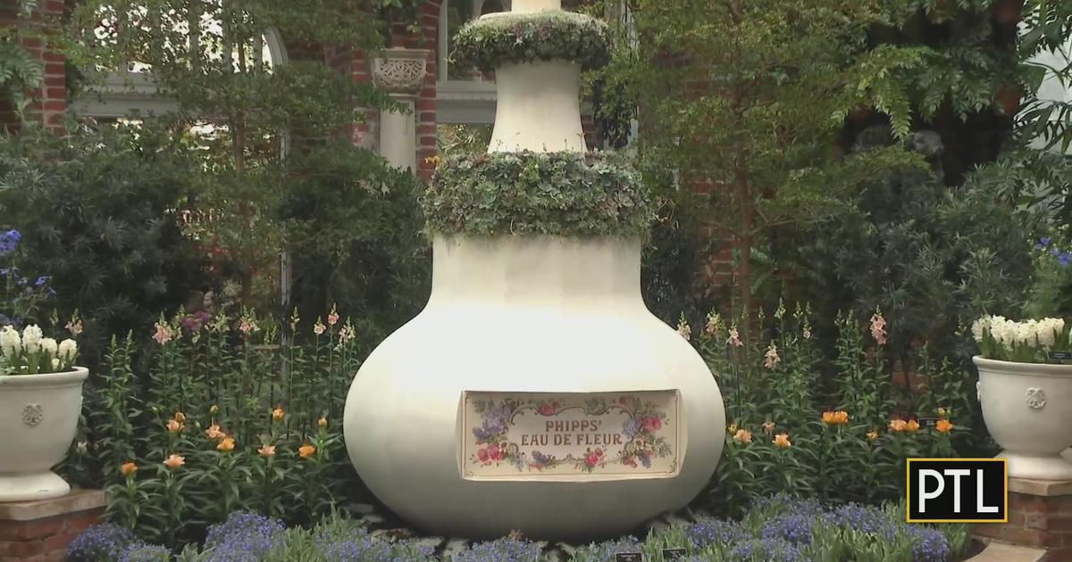 Phipps' Spring Flower Show will stimulate the senses CBS Pittsburgh