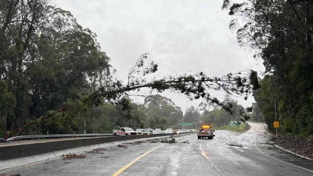 Hwy 17 closure from downed tree and wires 