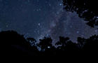 Silhouette of trees and the stars at night in Maliau Basin, Sabah Borneo. 