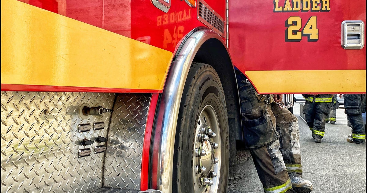 5 dogs die in RV hearth prior to Florida dog exhibit 5 dogs die in RV hearth prior to Florida dog exhibit