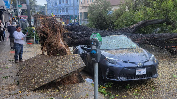 Tree crushes cars at Haight and Fillmore 