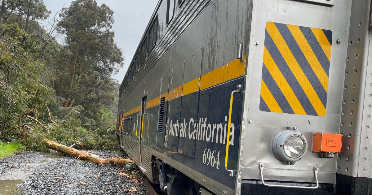 Downed tree derails Amtrak train near Martinez CBS San Francisco