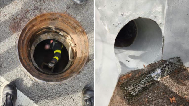 nyc-sewer-rescue.png 