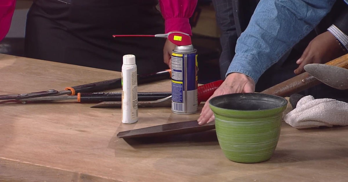 DIY ideas to get your inner gardener digging in - CBS Minnesota