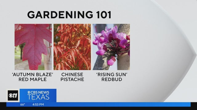 gardening-101.jpg