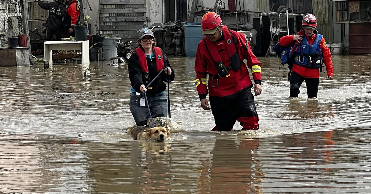 Monterey SPCA still caring for over 200 pets after Pajaro flooding