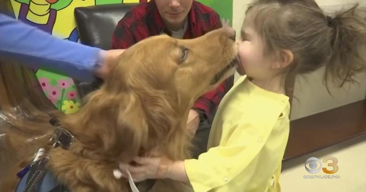 CBS Pet Project: The unique bond between dogs and humans