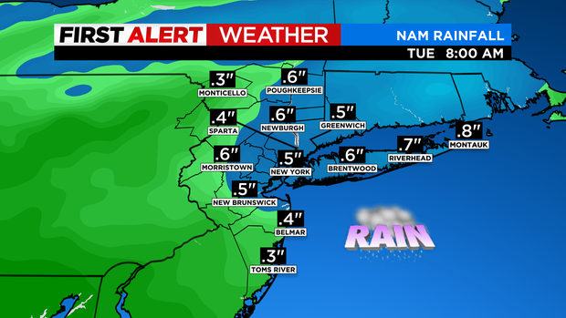 skycast-futurecast-rainfall-nam-4.png 