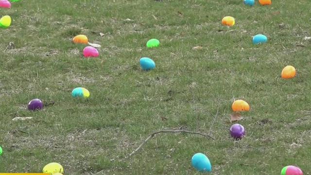 Easter egg hunt generic 