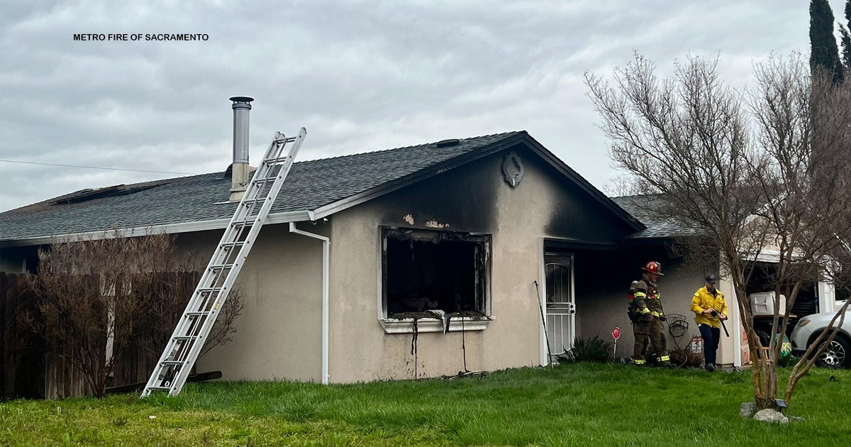 Firefighters: 10 cats found dead after house fire near Elverta