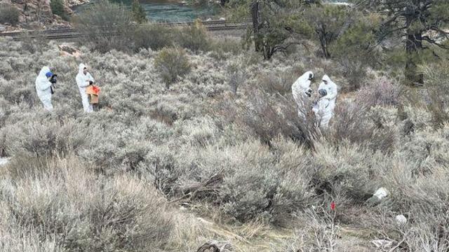 decomposed-human-remains-found-near-truckee-1-nevada-co-sheriff.jpg 