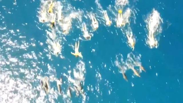 cbsn-fusion-dozens-of-swimmers-under-investigation-for-harassing-dolphins-in-hawaii-thumbnail-1839053-640x360.jpg 