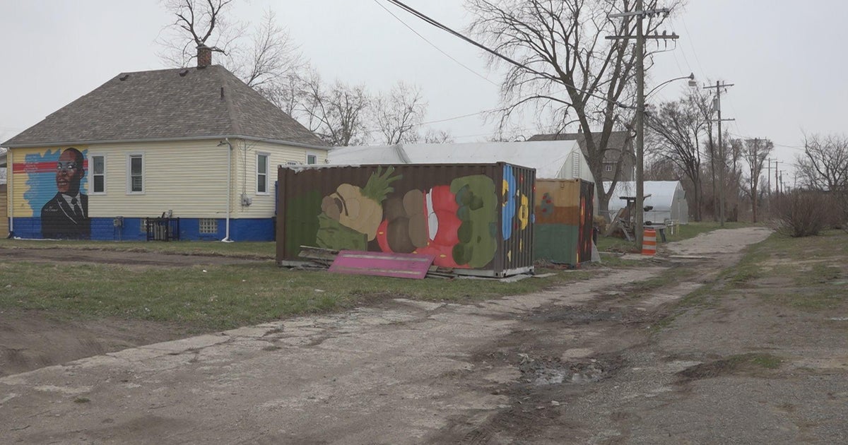 Detroit community leaders transforming alleys into art spaces CBS Detroit