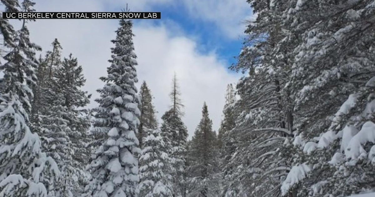 Snowpack for the season is now more than 713 inches