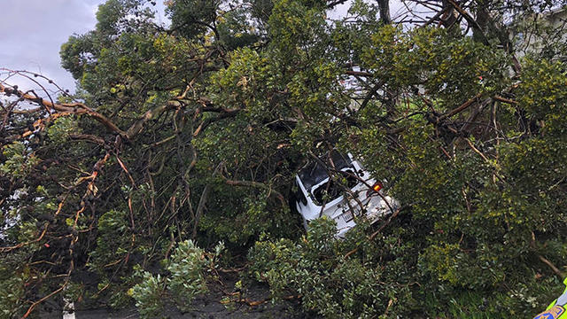 Wildcat Canyon Road closed after storm-related slides