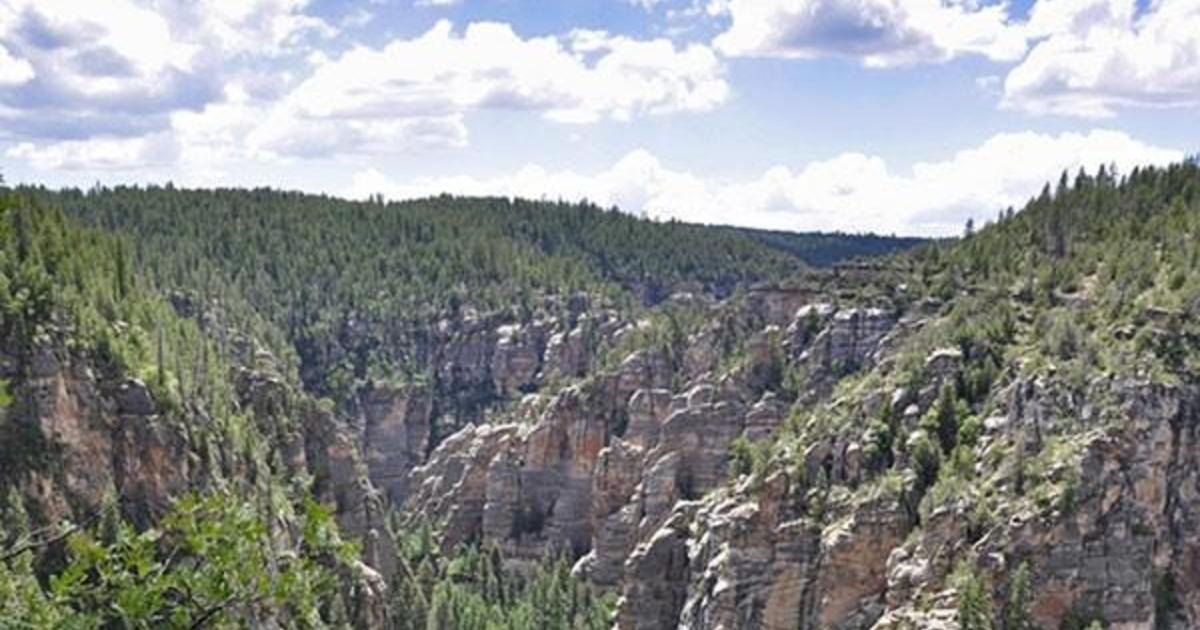 Woman falls to her death from cliff in Arizona’s Cococino National Forest