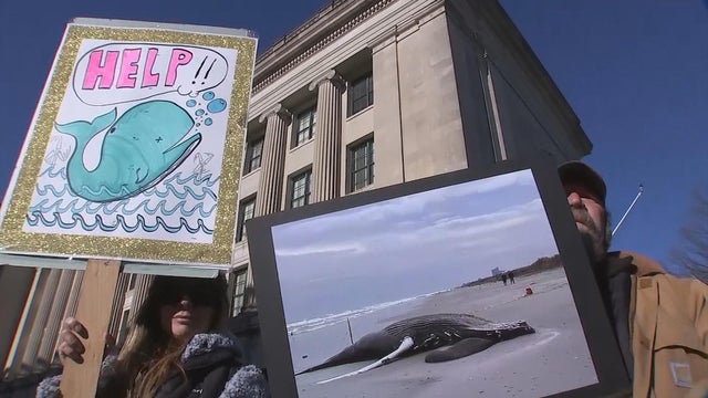 16pkg-bg-trenton-whale-protest-frame-2292.jpg 