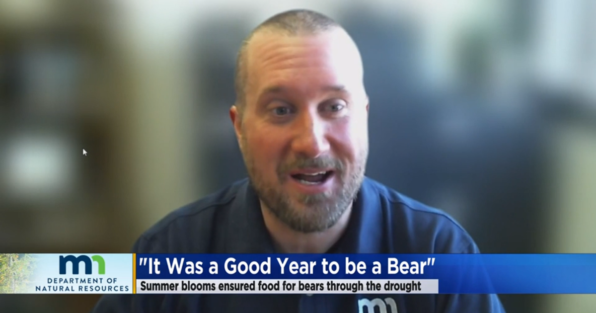 Extended Interview with DNR bear biologist CBS Minnesota