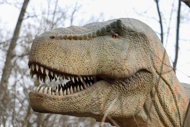 Everything we thought we knew about T. rex is wrong