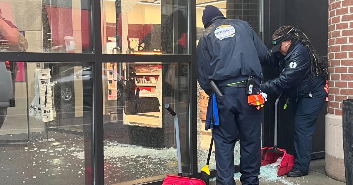 At Sephora Harbor East, windows were smashed in a burglary attempt