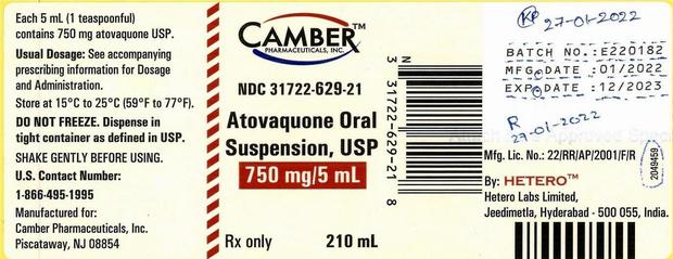 Camber Pharmaceuticals Container Label 