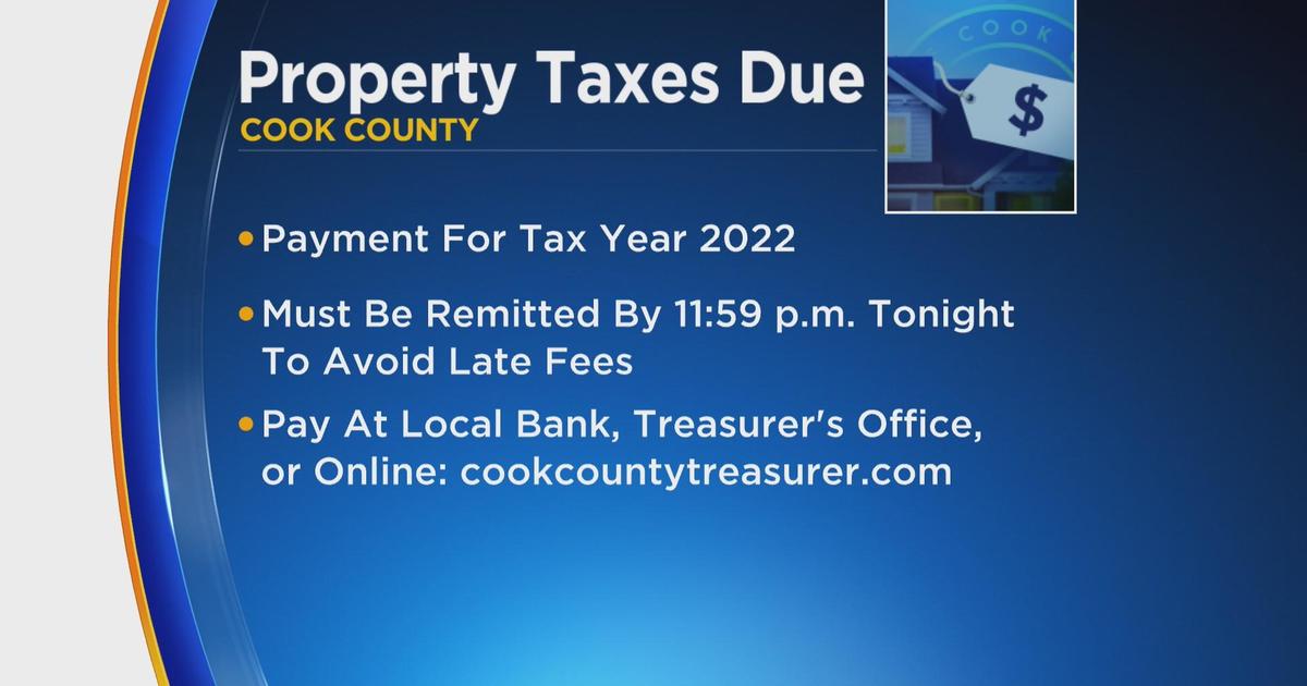 Cook County Property Tax Rebate 2023