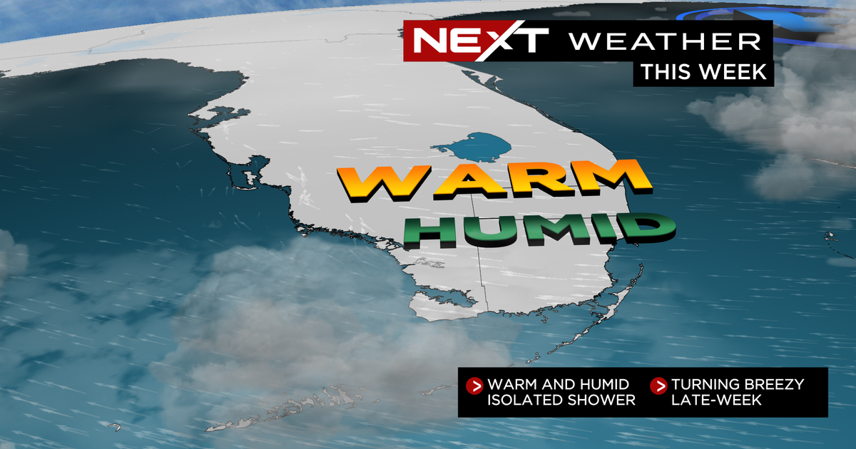 Miami Weather conditions: Breeze builds out of the east less than partly cloudy skies