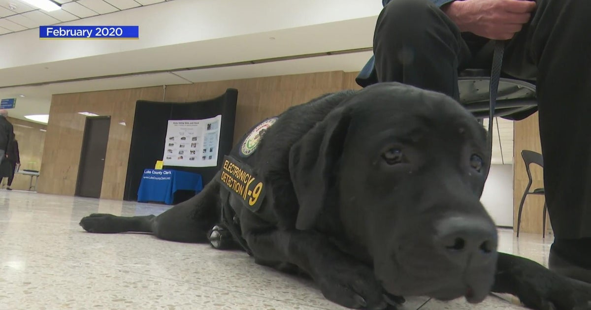 Lake County K9, handler retires after years of service - CBS Chicago