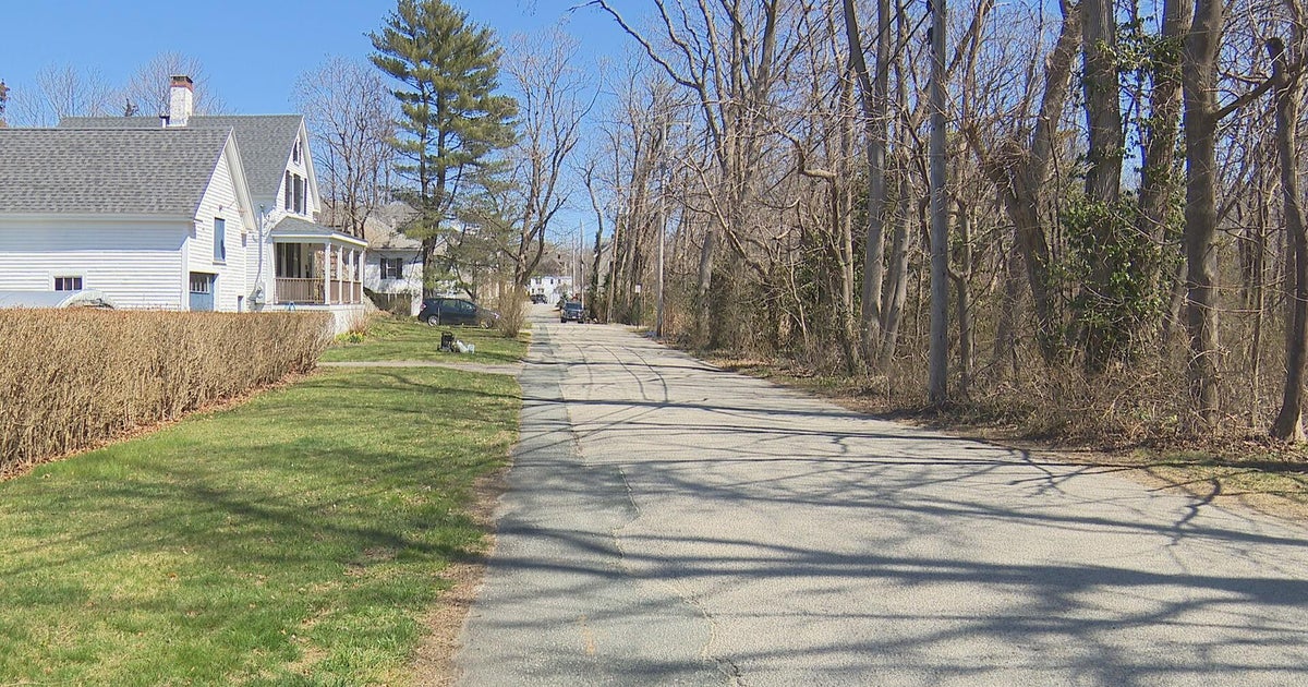 Cohasset dog walker discovers dead body on side of the road CBS Boston