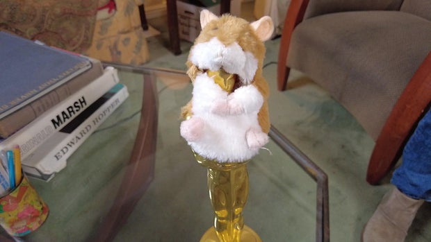 hamster-oscar.jpg