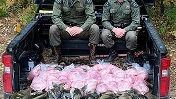 colorado-poachers-michigan-fish-for-web.jpg 