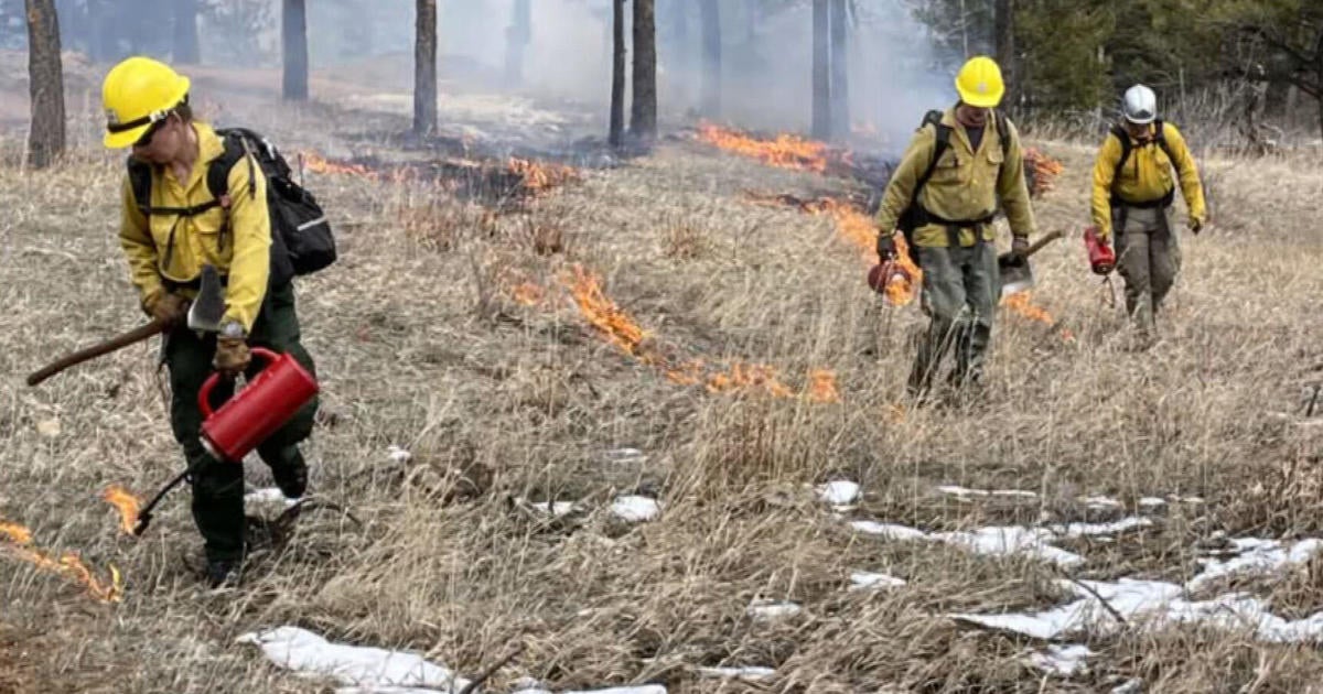 Wildfire experts break down fire mitigation efforts in Boulder County ...