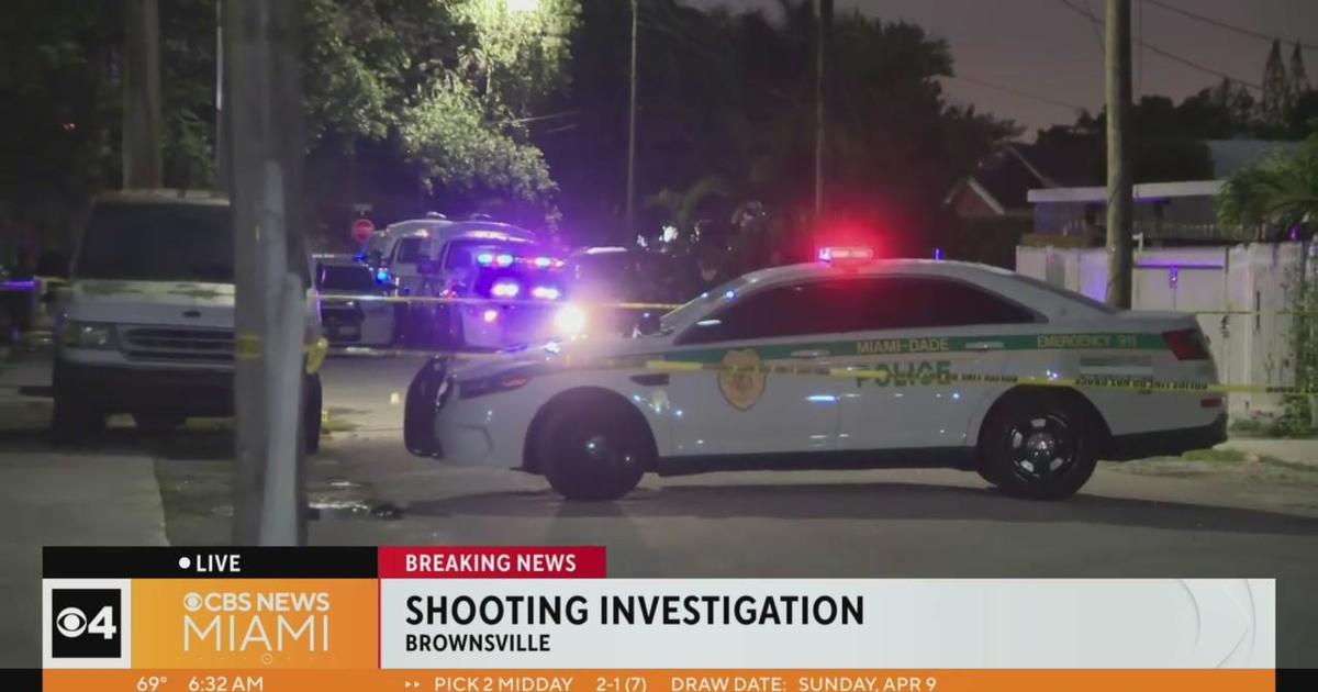 Person critically hurt in Brownsville capturing