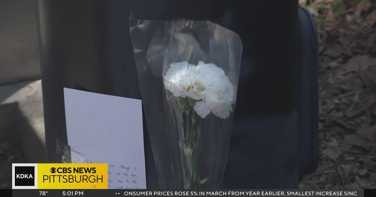 1 killed in hit-and-run crash - CBS Pittsburgh