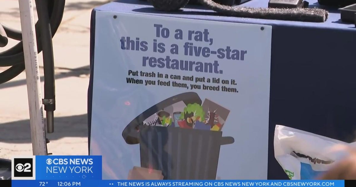 NYC has 1st ever 'rat czar' - CBS New York