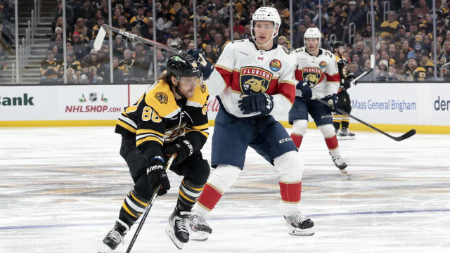 NHL: DEC 19 Panthers at Bruins 