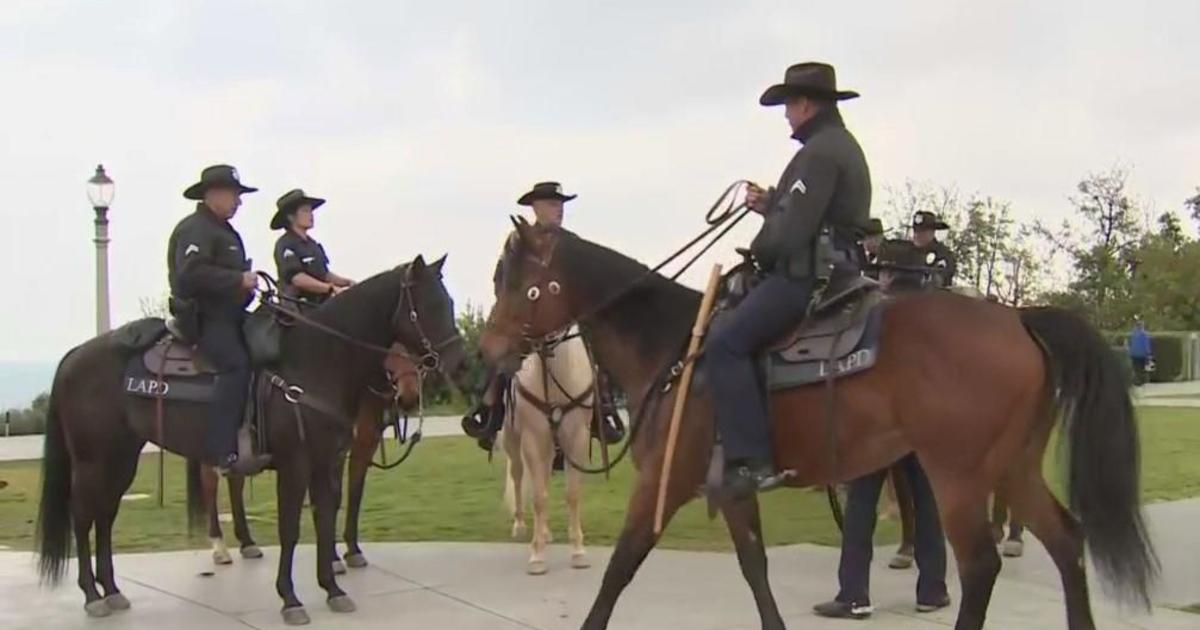 LAPD's mounted officers saddle up for holiday mall patrol – Daily News