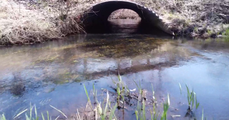 Solution to Indiana homes being flooded upsets nearby farmers - CBS Chicago