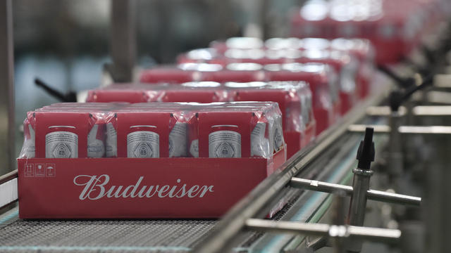 Budweiser Beer Automated Production Line 
