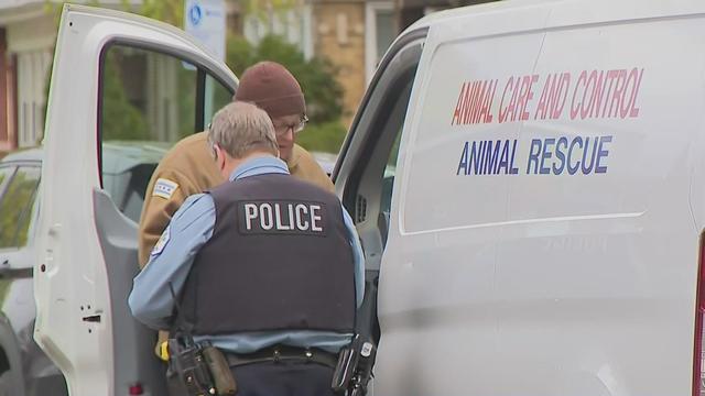 Emergency lights on a us police car 