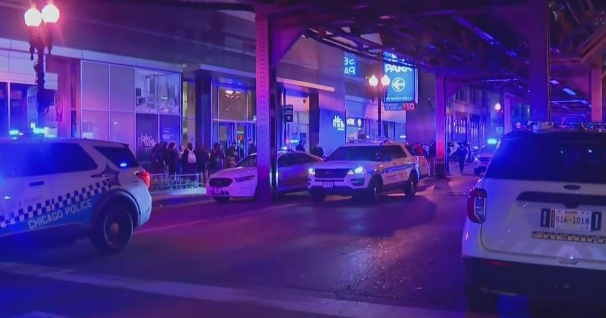 Carjacking suspects arrested in Loop parking garage - CBS Chicago